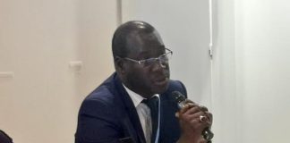 Environnement : « les journalistes africains doivent arrêter d’emboucher la même trompette que leurs homologues de l’Occident »