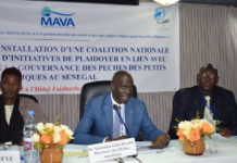 Déficit de petits pélagiques: Vers une coalition nationale de bonne gestion des pêches…