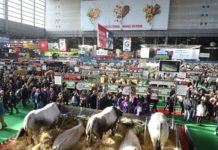 Agriculture : comment l’Afrique de l’Ouest s’y prend sur les marchés internationaux