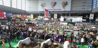 Agriculture : comment l’Afrique de l’Ouest s’y prend sur les marchés internationaux