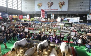 Agriculture : comment l’Afrique de l’Ouest s’y prend sur les marchés internationaux