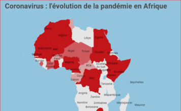 COVID-19 en Afrique : Analyse des mesures budgétaires mises en œuvre par certains pays dans le cadre de la résilience