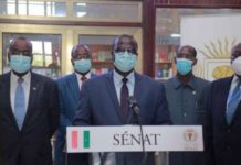 Côte d’Ivoire: le Sénat adopte en Commission le nouveau Code des investissements