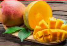 Mangue d’Afrique de l’Ouest sur le marché européen : vers un bilan 2020 très positif