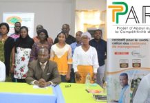 Côte d’Ivoire: les acteurs de la filière ananas formés sur les exigences de compétitivité