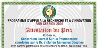 Remises de prix aux deux Consortiums lauréats de l’édition 2020 du Programme PARI de la CEDEAO