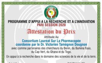 Remises de prix aux deux Consortiums lauréats de l’édition 2020 du Programme PARI de la CEDEAO