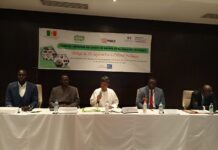 Sénégal/ Matériels électriques: Le gouvernement sur une dynamique d’inciter les usagers à respecter les normes