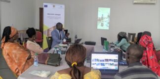 L’ONUDI et l’Union Européenne s’unissent pour stimuler la relance post-COVID des PME sénégalaises