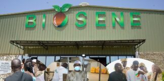 INAUGURATION DE L’USINE BIOSENE A BAMBILOR: Une innovation locale dans la chaine de valeur agroalimentaire