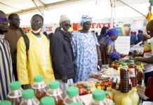 Sellal Mbay : Promouvoir l’autonomisation économique des producteurs à travers l’agro écologie et l’accès à l’énergie durable