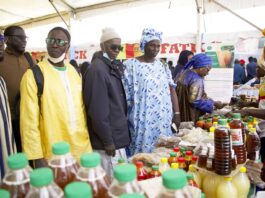 Sellal Mbay : Promouvoir l’autonomisation économique des producteurs à travers l’agro écologie et l’accès à l’énergie durable