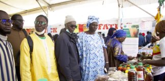 Sellal Mbay : Promouvoir l’autonomisation économique des producteurs à travers l’agro écologie et l’accès à l’énergie durable